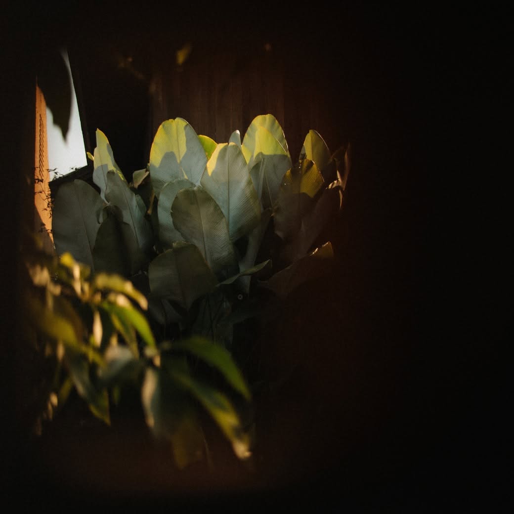 The Story Behind the Name Athita and Wat Athi Ton Kaew in Chiang Saen — photograph 4