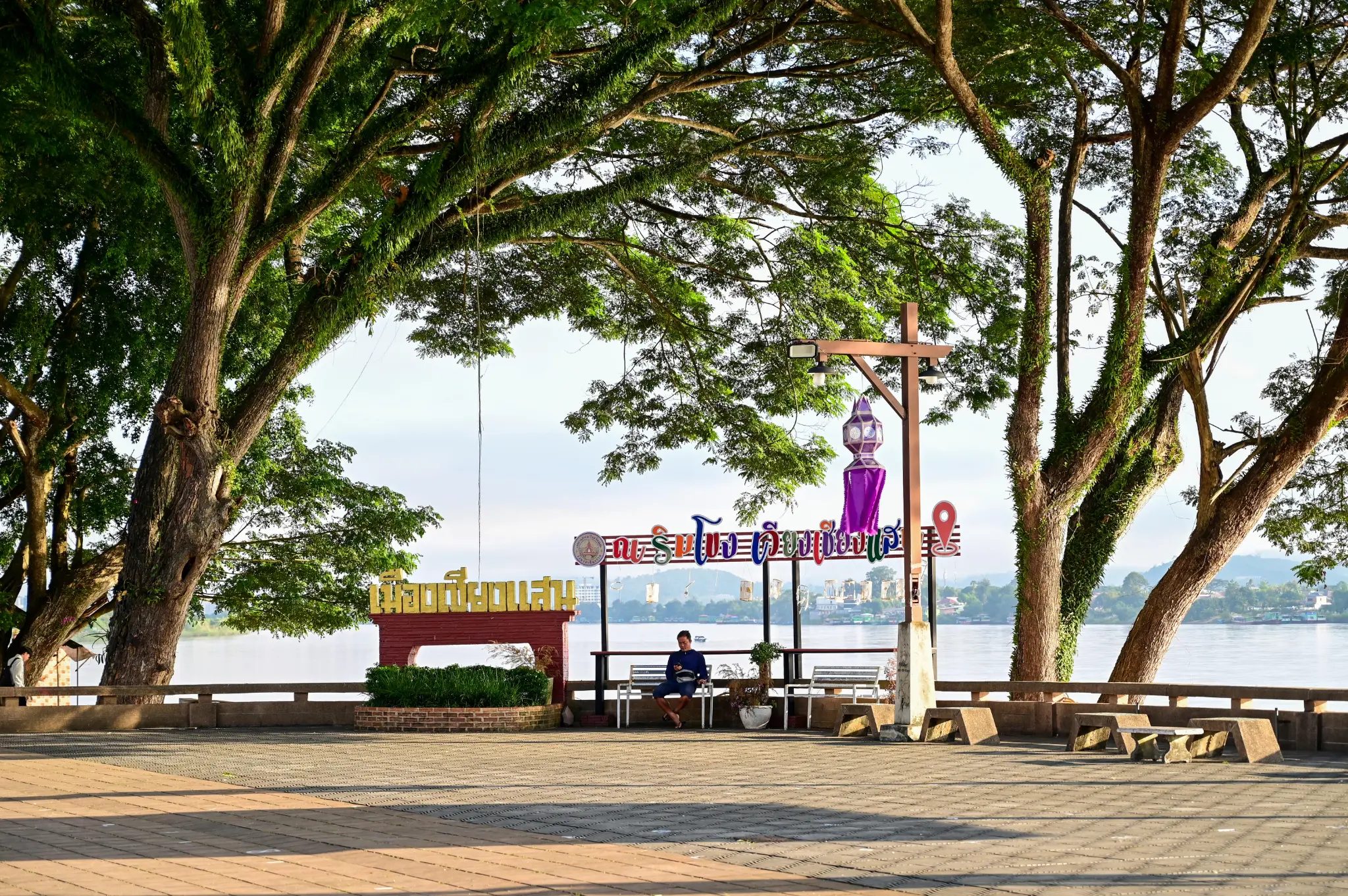 A man resting on a bench by the river beneath large trees